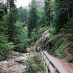 ścieżka koło wodospadu w Schwarzwaldzie