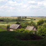 Puszcza Białowieska - widok z Wieży