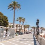 Palmy wzdłuż promenady w centrum Cadiz, obok plaży Caleta. 