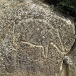 Petroglify - jakieś zwierzę. Może dzik lub świnia.