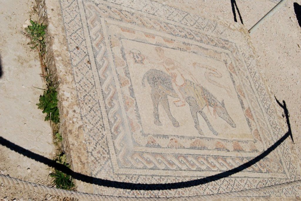 Mozaika z akrobatą na osiołku trzymający kubełek w wyciągniętej ręce. Może prawdopodobnie przedstawiać Silenusa